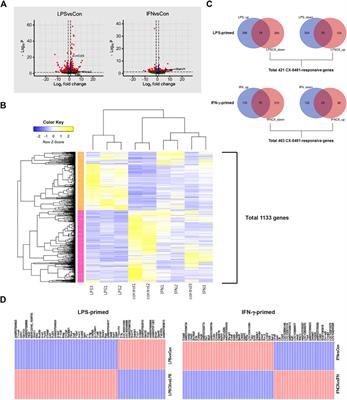 A transcriptional program associated with cell cycle regulation predominates in the anti-inflammatory effects of CX-5461 in macrophage